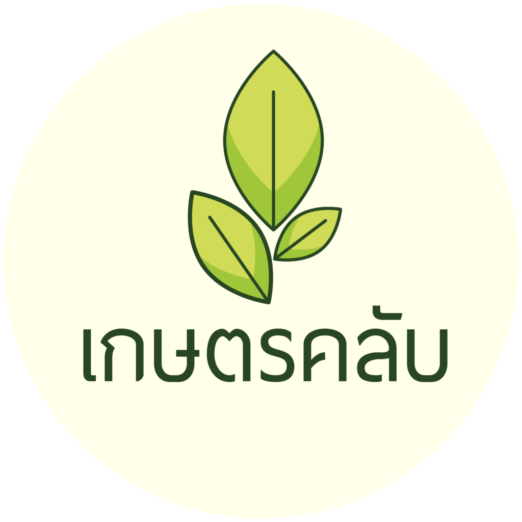 วัวท้องเสีย ถ่ายเหลว ไม่กินหญ้า สาเหตุเกิดอะไร ลูกวัวท้องเสียรักษายังไง  ถ่ายเหลวหลายวัน วิธีรักษา ยาซัลฟา เอ็นโร แบบฉีด แบบกิน สมุนไพรรักษาท้องเสีย  - เกษตรคลับ